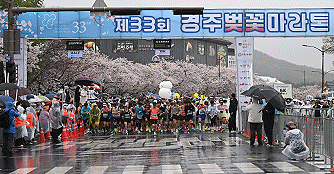2026 제33회 경주 벚꽃마라톤대회